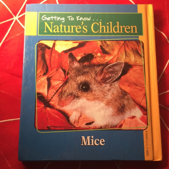 Getting to know….. Nature’s Children - Picture 3 of 4